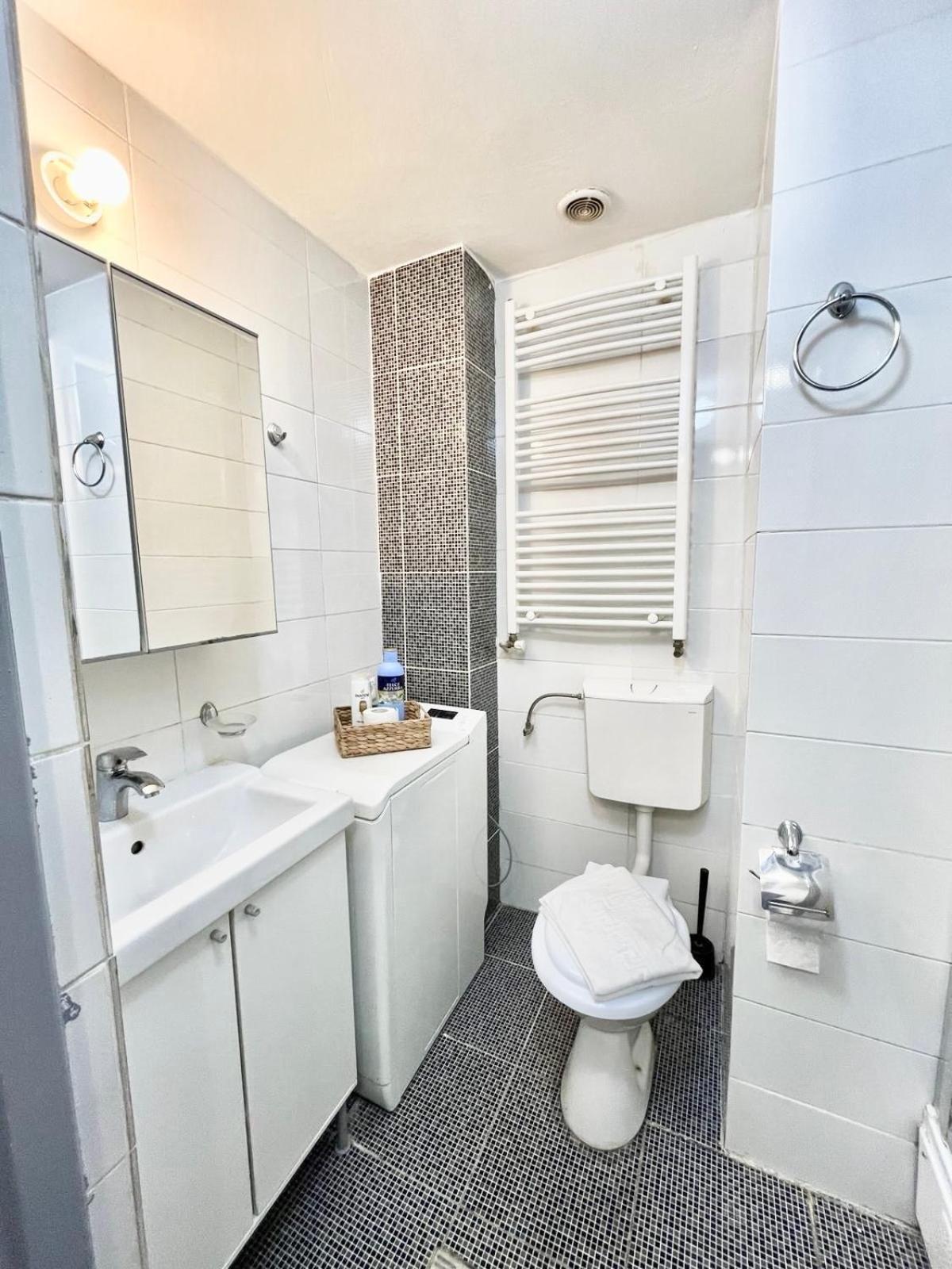 בוקרשט Victoriei Spacious Studio מראה חיצוני תמונה