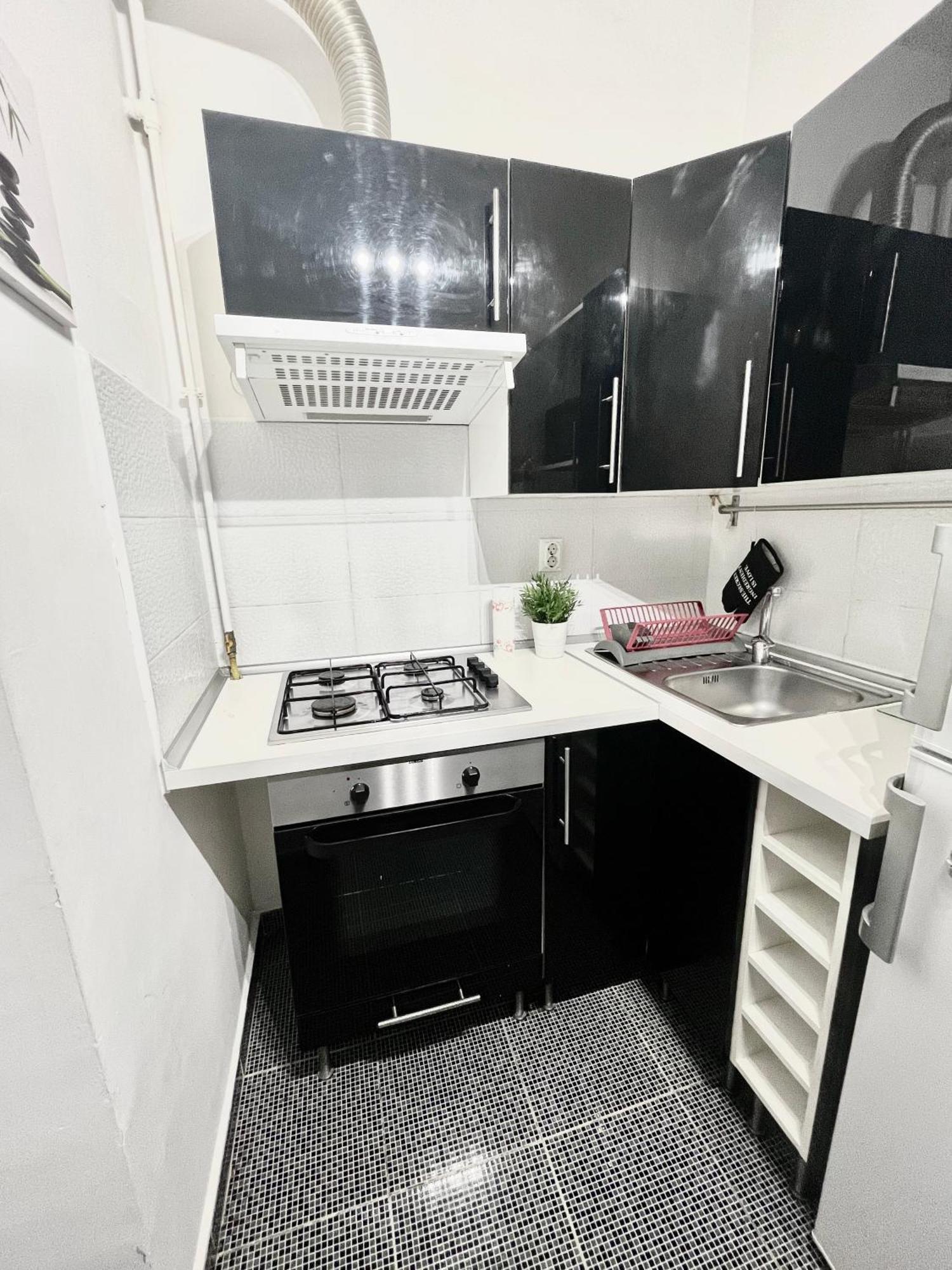 בוקרשט Victoriei Spacious Studio מראה חיצוני תמונה