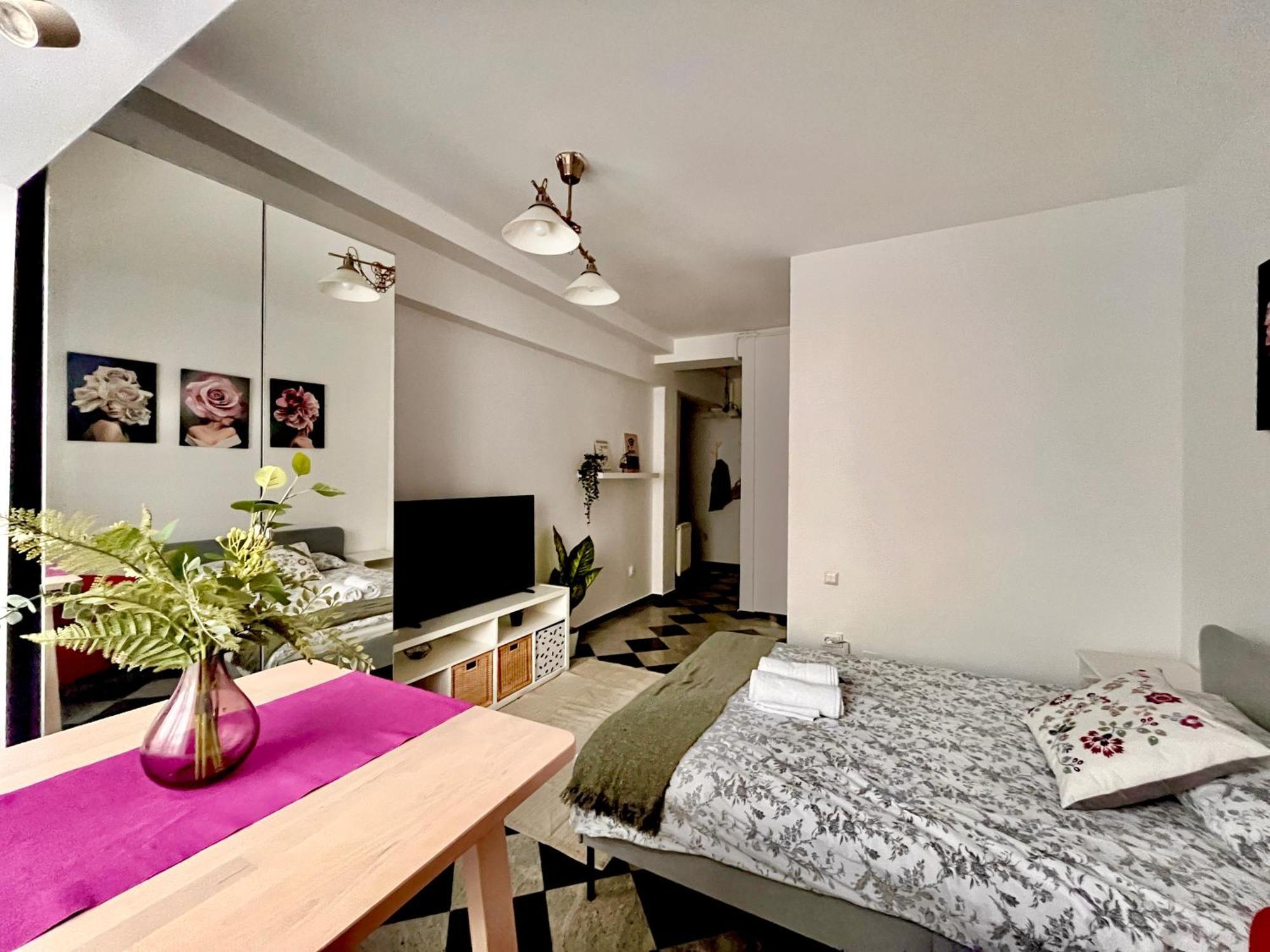 בוקרשט Victoriei Spacious Studio מראה חיצוני תמונה